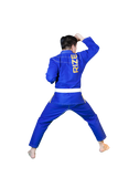 Gi - Blue+Sunburst Yellow